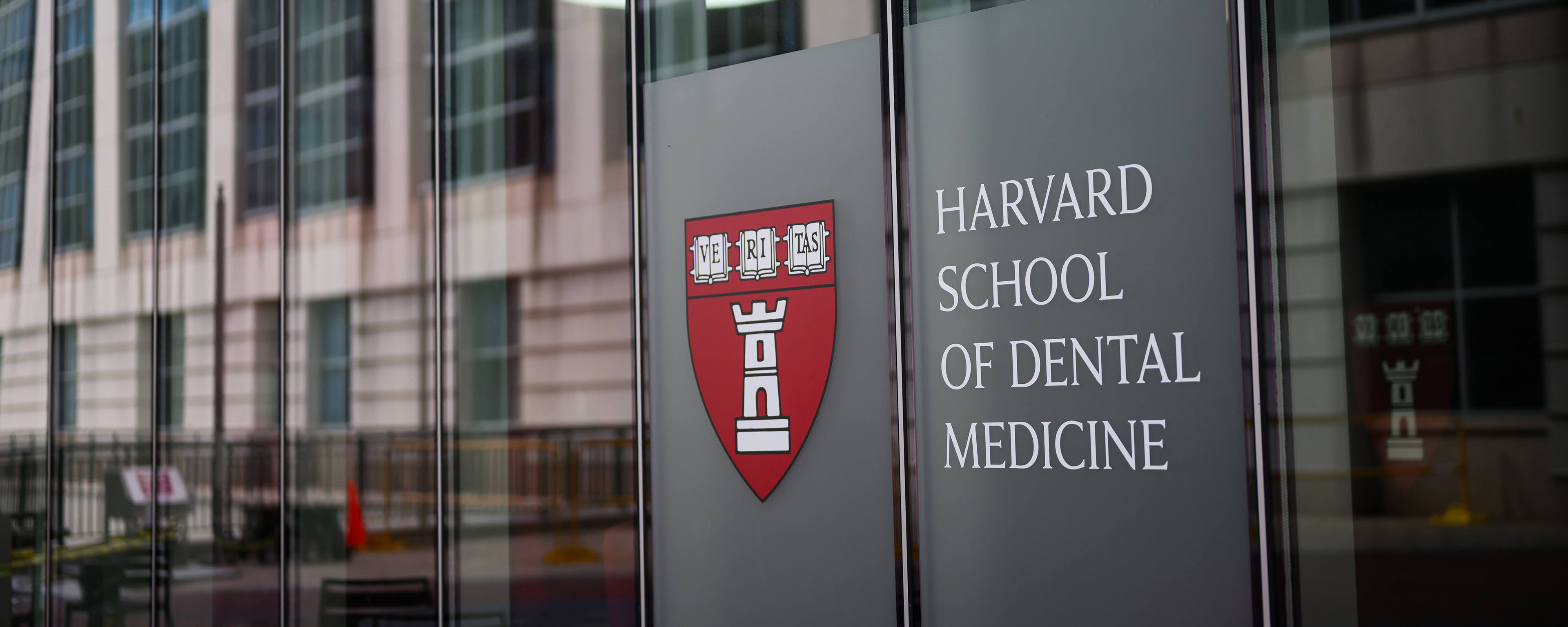 Harvard School of Dental Medicine — photo 4 from the school's website