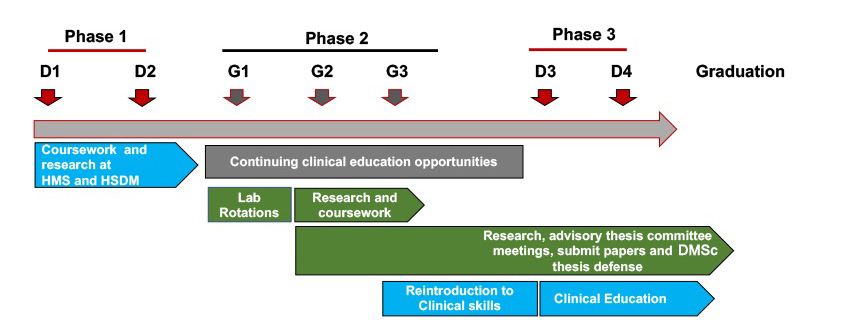 DMD-DMSc program timeline