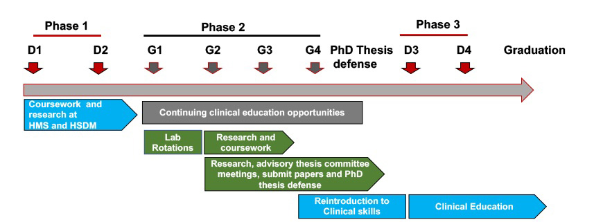 DMD-PhD timeline