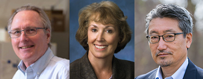 AAAS Awardees
