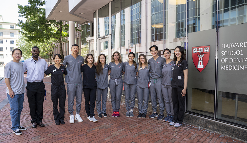 Bridge to Dental School Program Recognized with Inspiring Programs in