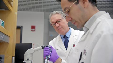 Dr. Giannobile in lab