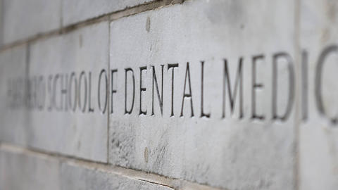 HSDM etched in stone