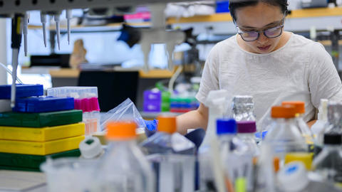 reseacher working at a lab bench