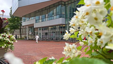 wome walking in the REB courtyard