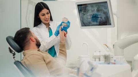Female dentist showing teeth model to patient in modern clinic