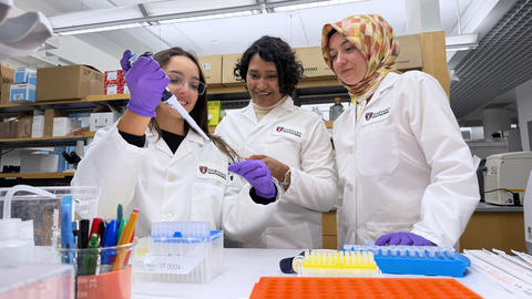 Three people in a wet lab 