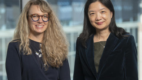 Drs. Gibbs and Yang