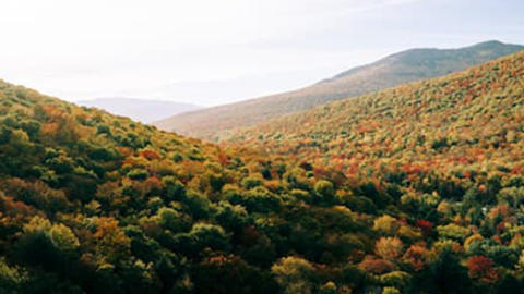 nh-cover-photo-sq.jpg