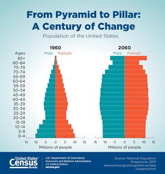 Graphic showing census data