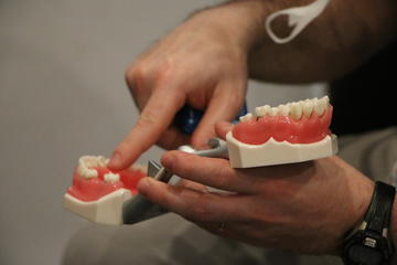 A person pointing to a tooth on a mouth model