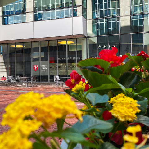 courtyard outside REB lobby