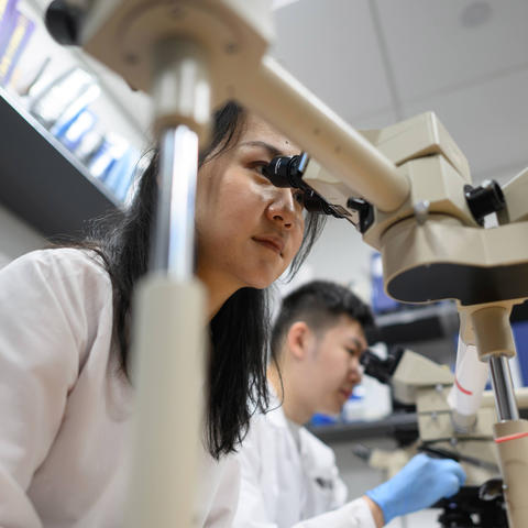 Two researchers looking in a microscope
