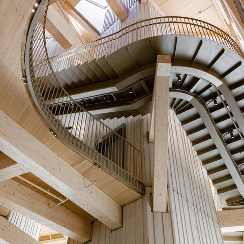 interior stairwell in Harvard Treehouse