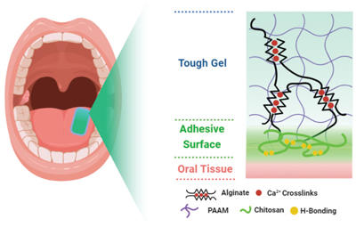diagram of the adhesive patch.
