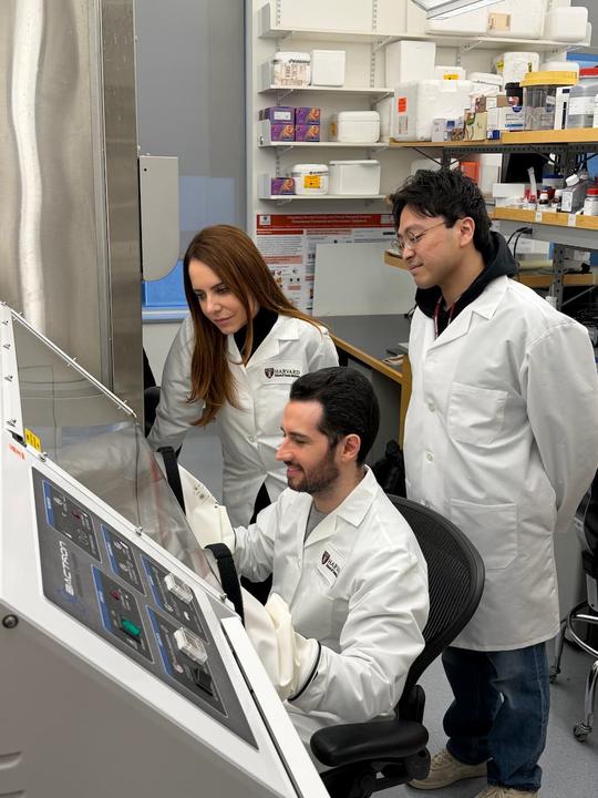 Three researchers looking into a lab hood