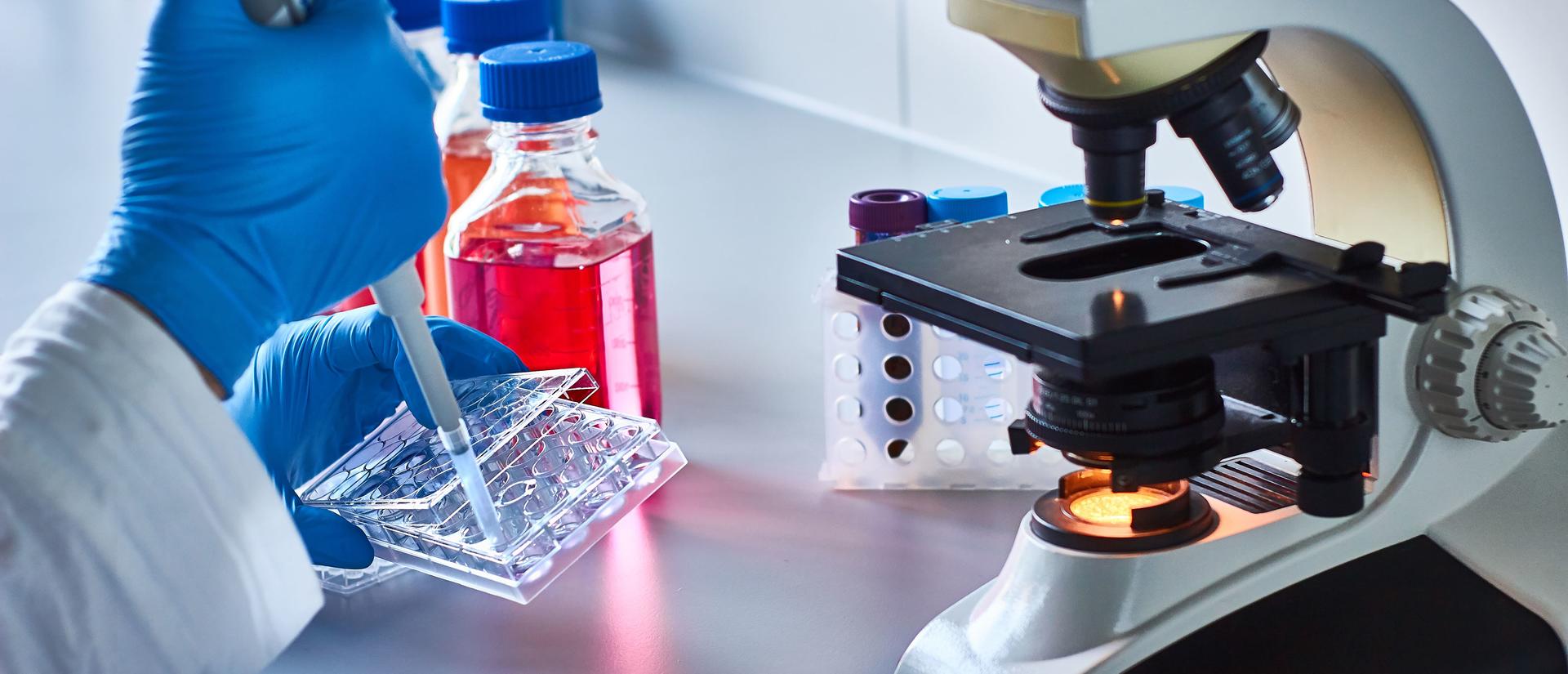 Cancer research with microscope and test tubes
