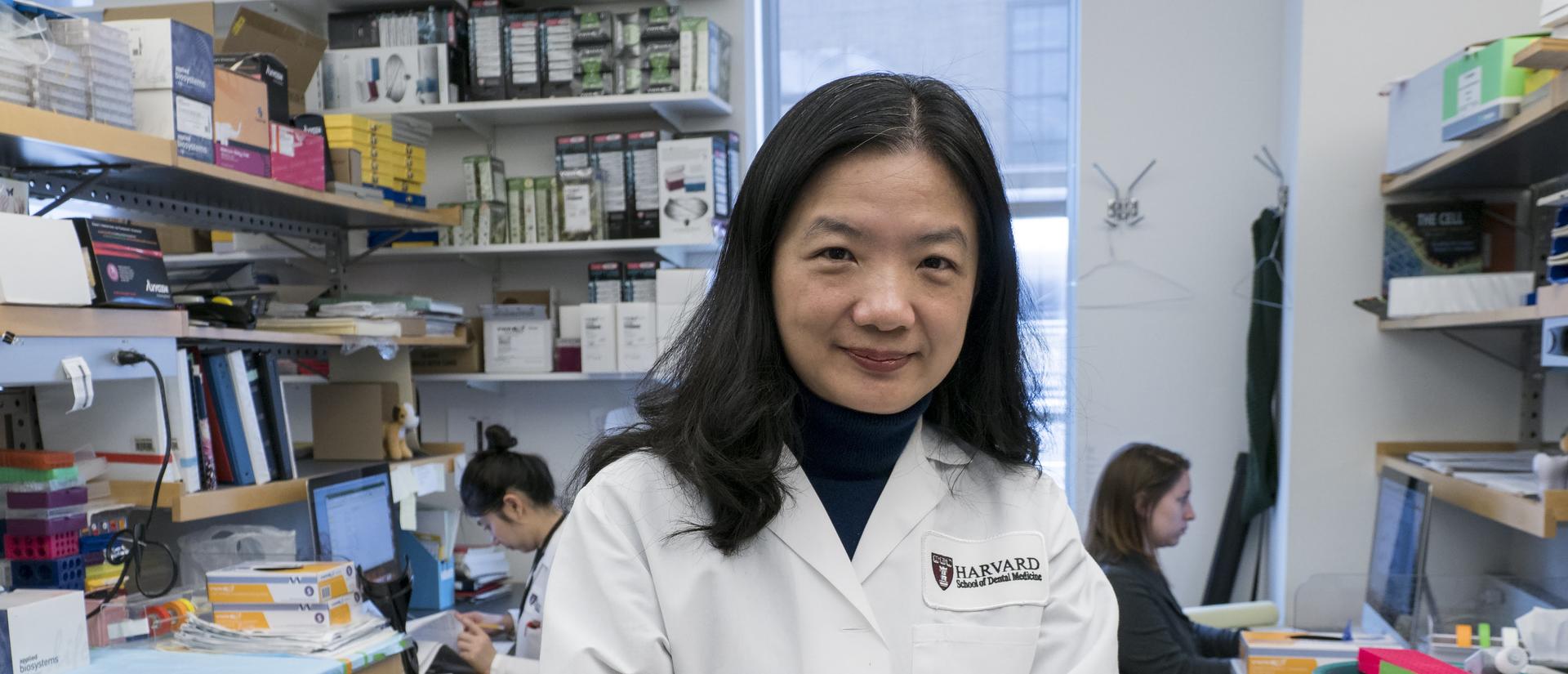 Dr Yang in lab