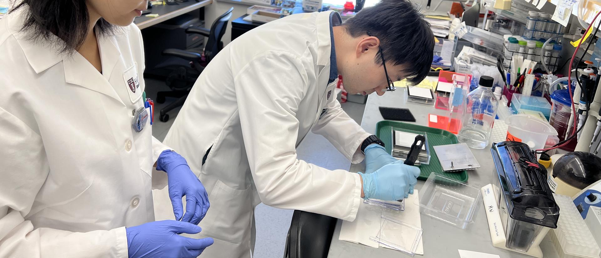 two researchers working side by side at a lab bench