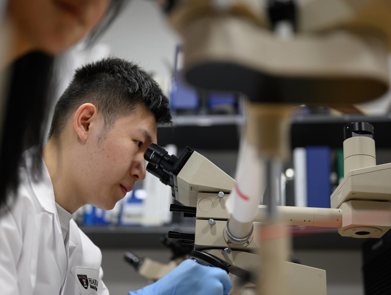 DMD-Dual Degree Program | Harvard School of Dental Medicine