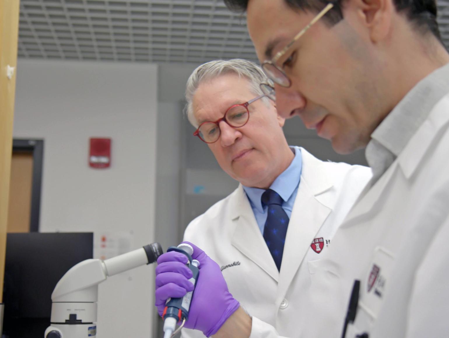 Dr. Giannobile in lab