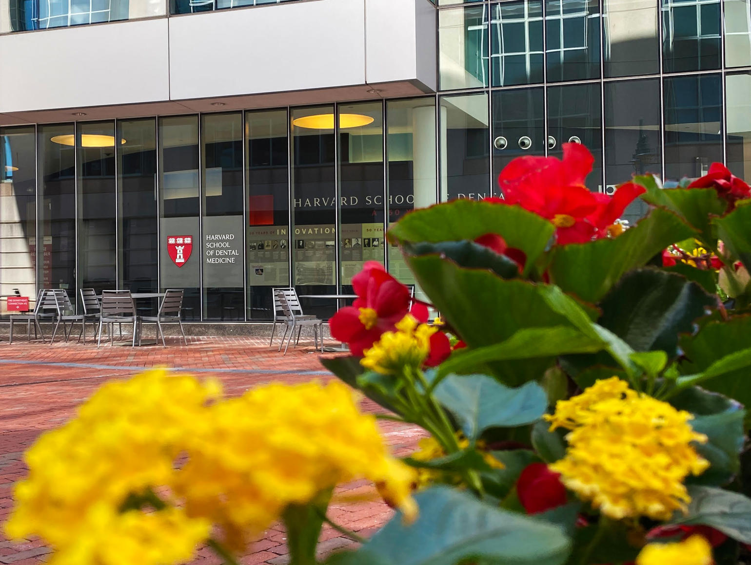 courtyard outside REB lobby