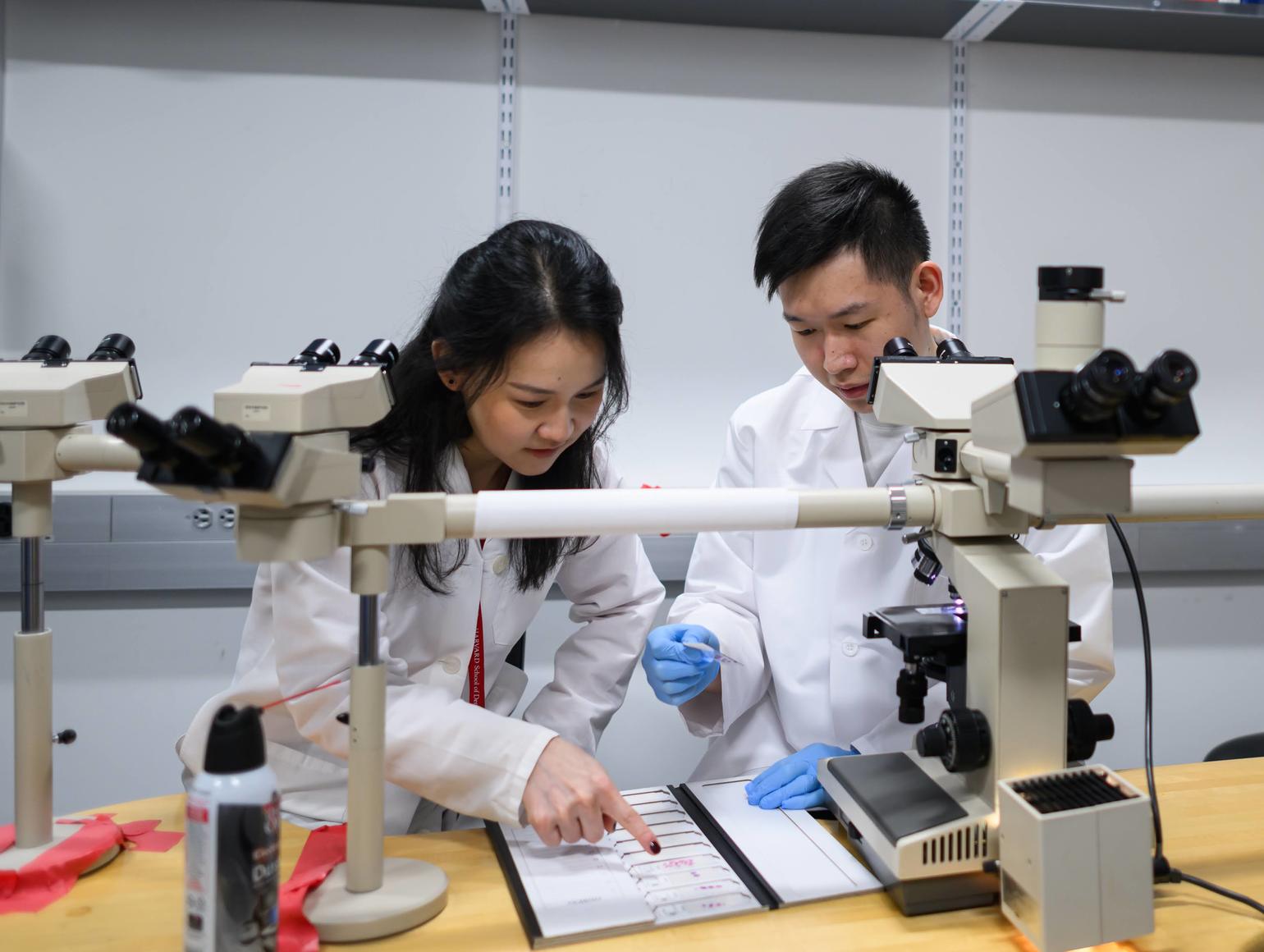 two students in lab in front of a microscope looking at slides