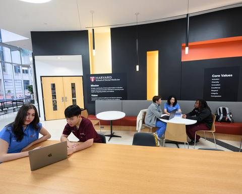 students looking at laptops gathered in the REB lobby