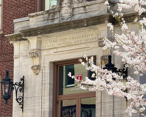main entrance HSDM
