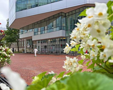 wome walking in the REB courtyard