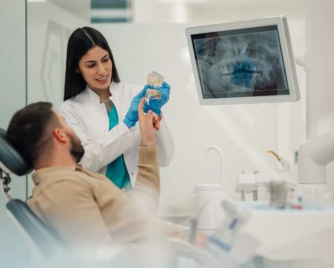 Female dentist showing teeth model to patient in modern clinic
